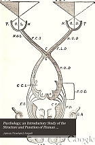 Psychology; an introductory study of the structure and function of human consciousness.