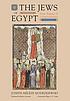 The Jews of Egypt : from Rameses II to Emperor Hadrian