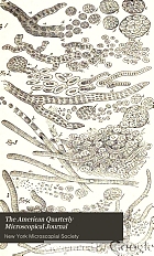 The American quarterly microscopical journal.