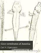 Cave vertebrates of America; a study in degenerative evolution.