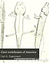Cave vertebrates of America; a study in degenerative... door Carl H Eigenmann