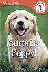Surprise puppy! 著者：  Judith Walker-Hodge 