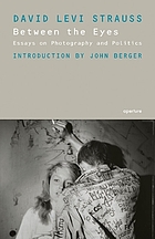 Between the eyes : essays on photography and politics