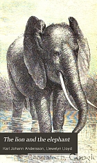 The lion and the elephant.