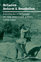 Between reform & revolution : political struggles in the Peruvian Andes, 1969-1991