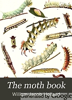 The moth book; a popular guide to a knowledge of the moths of North America,