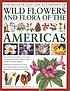 The illustrated encyclopedia of wild flowers and... by Martin Walters