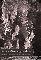 Ferns and how to grow them,