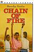 Chain of fire door Beverley Naidoo