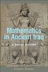 Mathematics in ancient Iraq : a social history