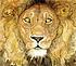 The lion & the mouse 著者：  Jerry Pinkney 