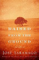 Raised from the ground