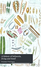 A history of infusoria, living and fossil. Arranged according to the 