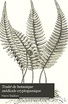 Traité de botanique médicale cryptogamique, suivi du tableau du droguier de la Faculté de médecine de Paris.