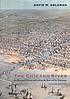 The Chicago River : an illustrated history and guide to the river and its waterways