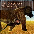 A baboon grows up