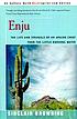 Enju : the life and struggle of an Apache chief... door Sinclair Browning