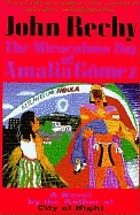 The miraculous day of Amalia Gómez : a novel
