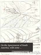 On the Apocynaceae of South America, with some preliminary remarks on the whole family ...
