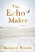 The echo maker door Richard Powers