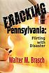 Fracking Pennsylvania : flirting with disaster by  Walter M Brasch 