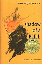 Shadow of a bull