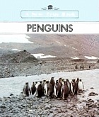 Penguins
