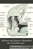 Die mittlere und äussere Ohrsphäre der Lacertilia und Rhynchocephalia.