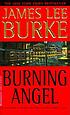Burning angel : a novel