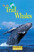 On the trail of whales