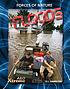 Floods by Sue L Hamilton