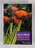 A field guide to wild flowers : KwaZulu-Natal and the Eastern Region