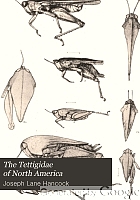 The Tettigidae of North America,