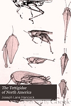 The Tettigidae of North America,