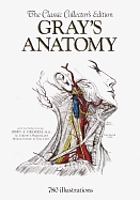 Anatomy, descriptive and surgical