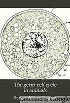 The germ-cell cycle in animals,