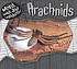 Arachnids by  Julie Murphy 