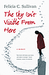 The sky isn't visible from here por Felicia C Sullivan