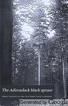 The Adirondack black spruce.