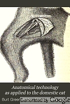Anatomical technology as applied to the domestic cat; an introduction to human, veterinary, and comparative anatomy