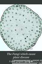 The Fungi which cause plant disease,