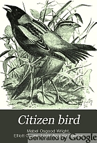 Citizen bird : scenes from bird-life in plain English for beginners