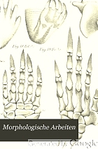 Morphologische Arbeiten.