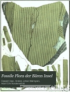 Fossile Flora der Bären Insel
