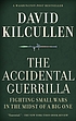 The accidental guerrilla : fighting small wars... by  David Kilcullen 