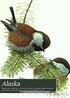 Alaska.
