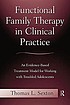 Functional family therapy in clinical practice... 저자: Thomas L Sexton