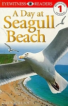 A day at Seagull Beach