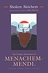 The further adventures of Menachem-Mendl : New York-- Warsaw--Vienna--Yehupetz