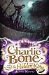 Charlie Bone and the hidden king door Jenny Nimmo